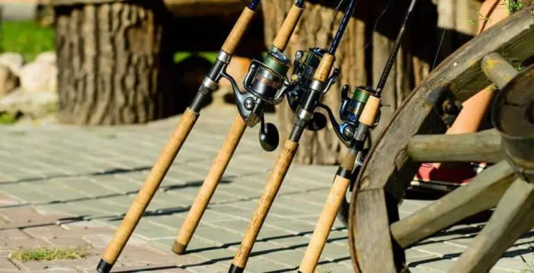 Best Bass Fishing Rods in 2023 – A Simple Buyer’s Guide That Helps