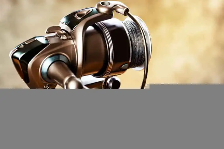 Best Bass Spinning Reels in 2023 – Buyer’s Guide