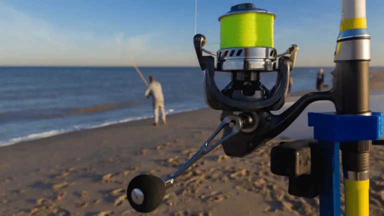 The 7 Best Surf Fishing Reels For The Money in 2023