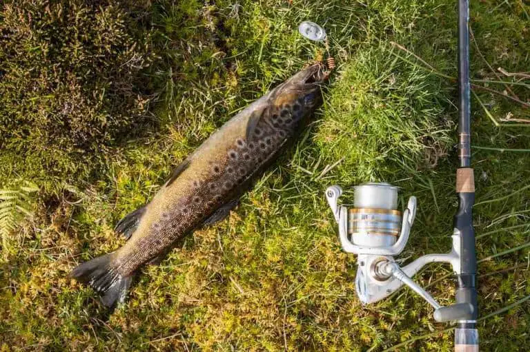 The 6 Best Trout Fishing Rods in 2023 for All Skill Levels