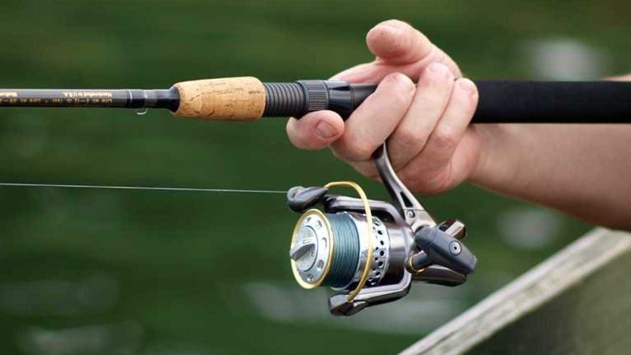 Best Trout Spinning Reels