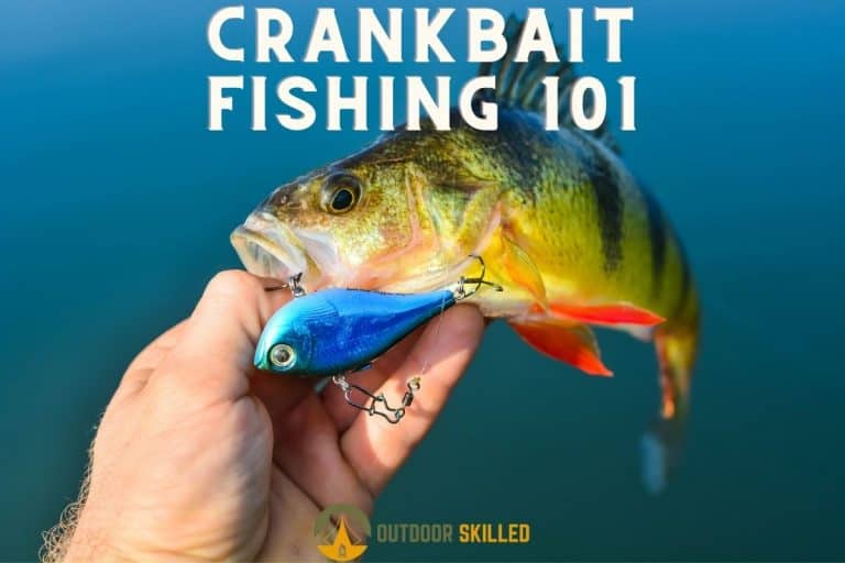 Crankbait Fishing 101: Top Tips For Catching Musky