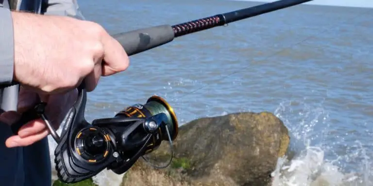 How to Pick a Spinning Reel