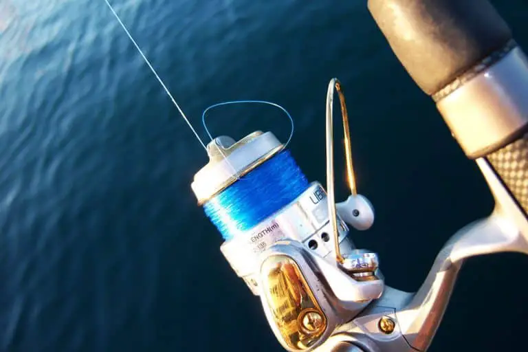 The 8 Best Monofilament Lines in 2023 For Every Situation
