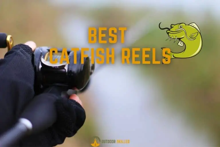 The 6 Best Catfish Reels in 2021 For Your Money (and Bigger Catches)