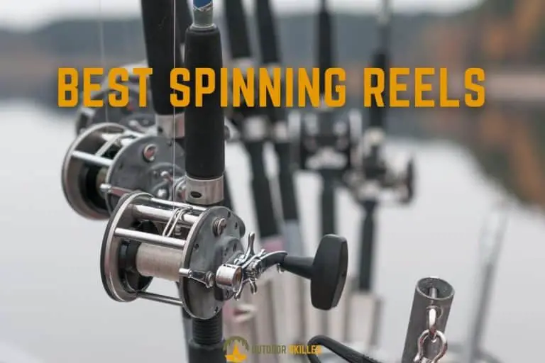 The 7 Absolute Best Saltwater Spinning Reels For Money in 2021