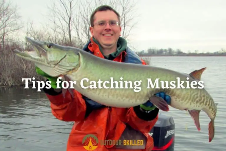 Musky Fishing 101: 6 Super Tips For Catching Musky