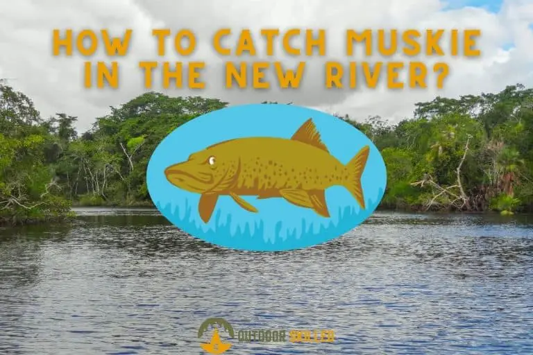 How to Catch a Muskie in the New River