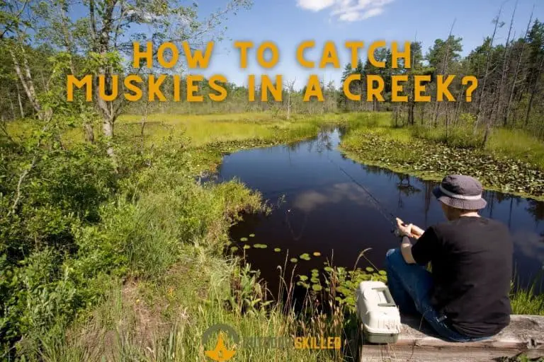 How to Catch a Muskie in a Creek? A Detailed but Simple Guide