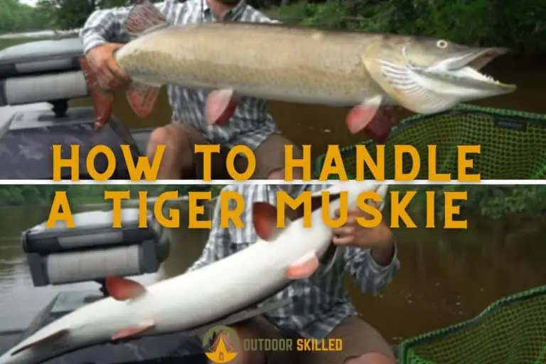 How to Handle a Tiger Muskie? Safety First, Cool Pics Second