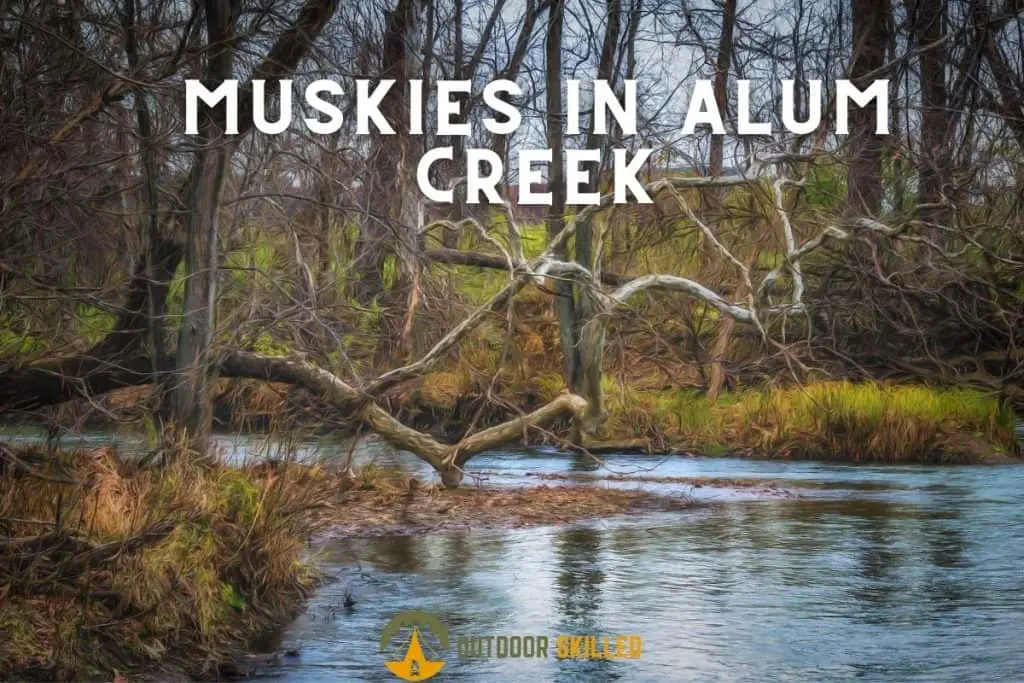 An image of Alum creek to illustrate the alum creek muskie fishing guide principles, laws, and tips