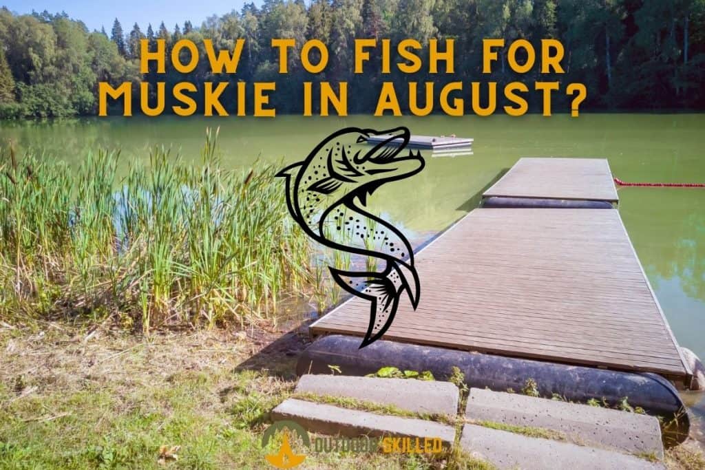 An image of a lake and trees to illustrate how to catch a Musky in August