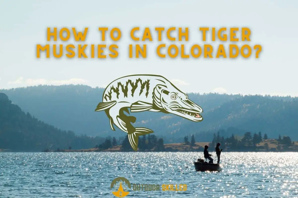 men fishing in Colorado to illustrate how to catch tiger muskies in Colorado