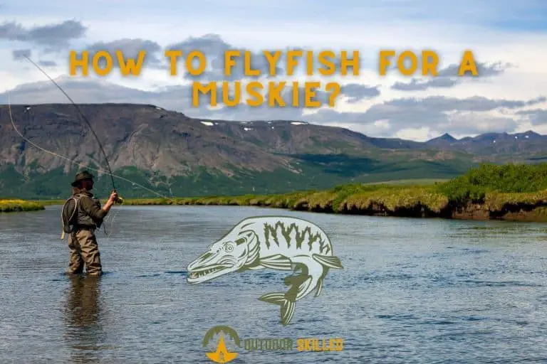 How to Fly Fish for a Muskie? A Detailed But Simple Guide
