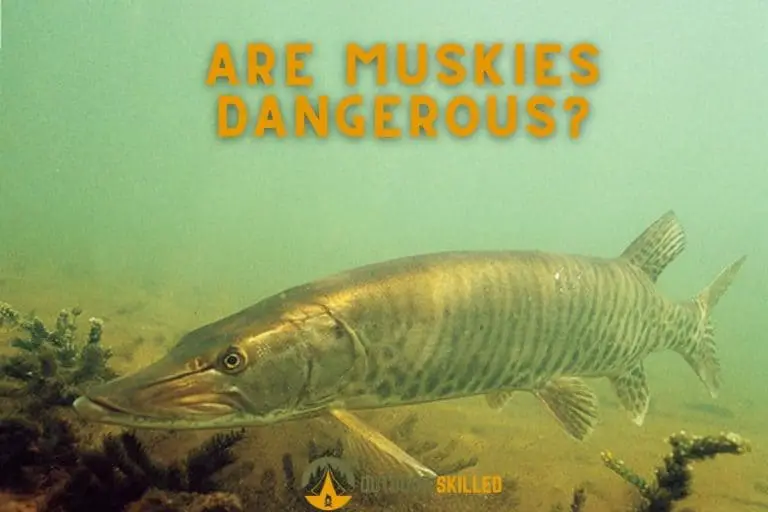Are Muskies Dangerous? When Should You Worry (and What To Do)