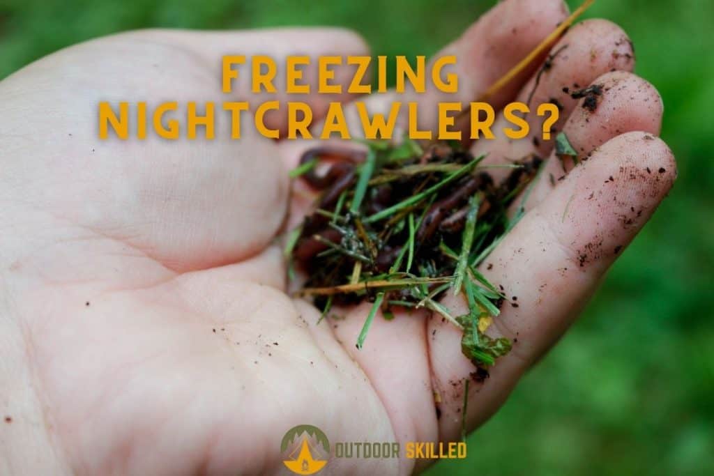man holding night crawlers to illustrate how can night crawlers be frozen