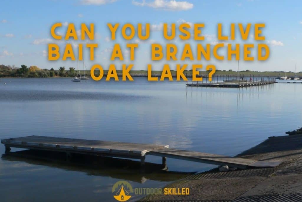 an image of the branched oak lake to illustrate how can you use live bait at the branched oak lake