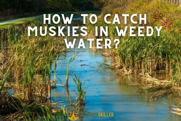 How to Catch Muskie in Weedy Water?  A Complete Guide