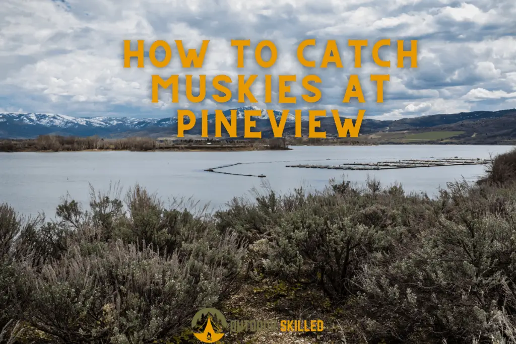 Pineview reservoir in Utah to illustrate how to catch tiger muskies at pineview