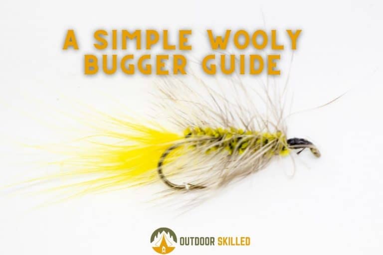 Do Wooly Buggers Sink or Float?  A Quick and Easy Guide