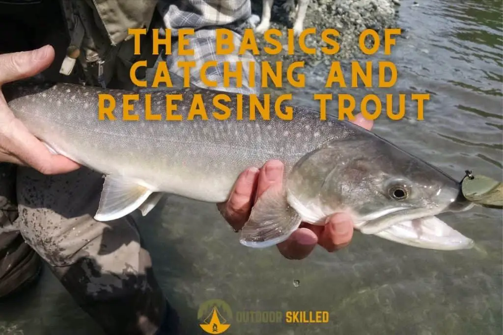how to catch and release trout safely 