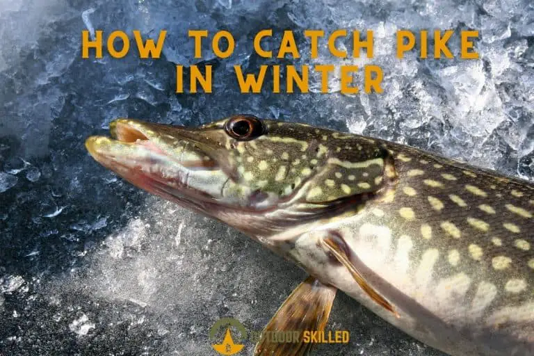 Can You Catch Pike in Winter? Get Trophy Pikes With Ice Fishing