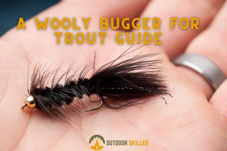 What Size Wooly Bugger For Trout? A Helpful Guide