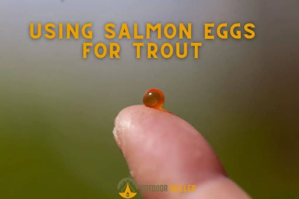 hand holding a salmon egg to answer can you use salmon eggs for trout 
