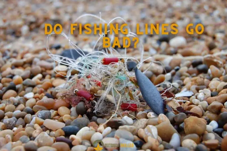 Is My Fishing Line Still Good? How to Test for Yourself & Pro Tips