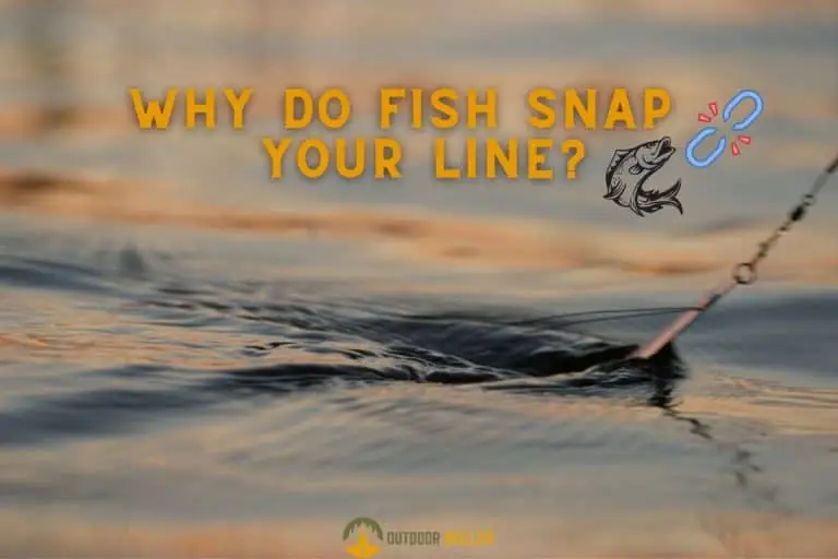 Why Do Fish Keep Snapping My Line? 10 Reasons & Solutions That Work