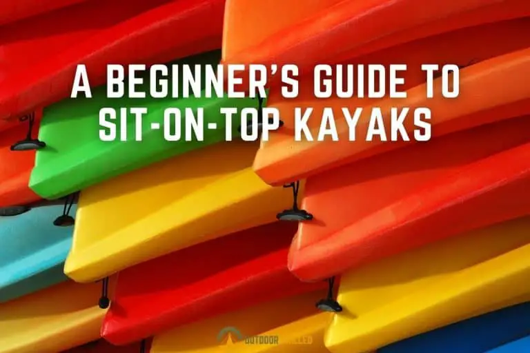 The 6 Best Sit on Top Kayaks for beginners in 2021 (For All Budgets)