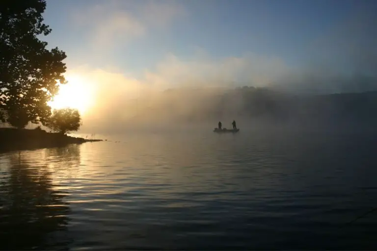 A Guide to Morning Bass Fishing With 5 Secret Tips and Tricks