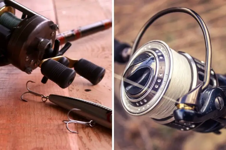 Which Is Better for Trout: Baitcasters or Spinning Reels?