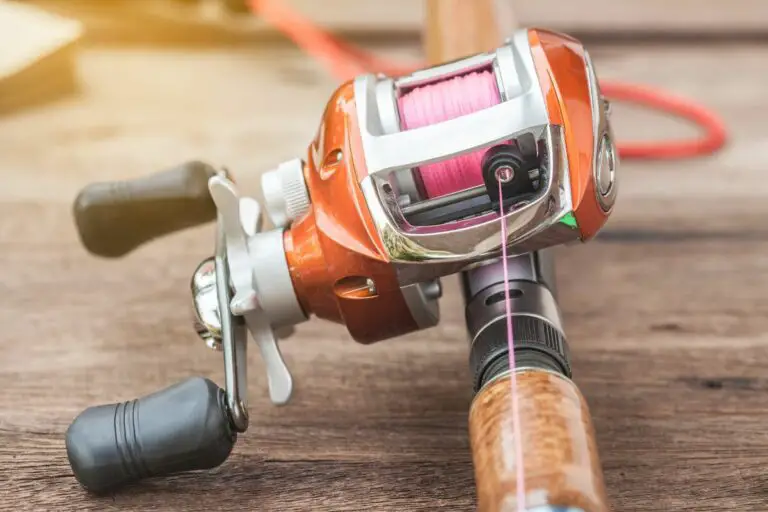 Why Does Your Baitcasting Reel Squeak? And How to Fix It?
