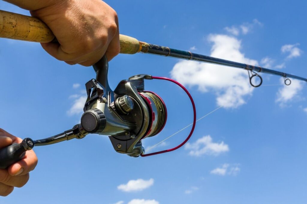 a photo of an angler using a functional spinning reel to show you do need to oil spinning reels