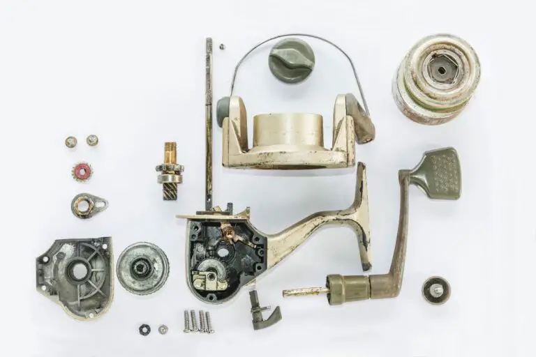 How Often Should You Clean Your Reel? A Complete Guide