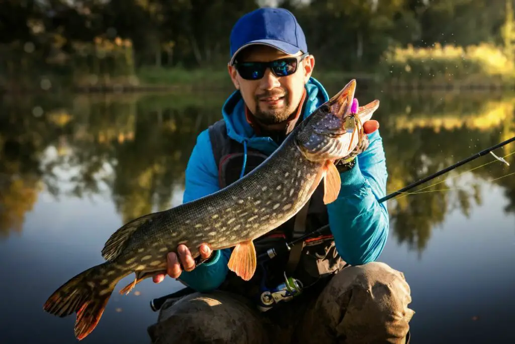 a photo of an angler holding a pike fish o show the river pike fishing tops