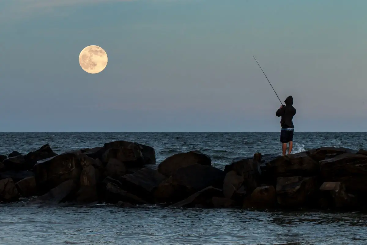 What Is the Best Moon Phase for Saltwater Fishing? [Explained Simply ...