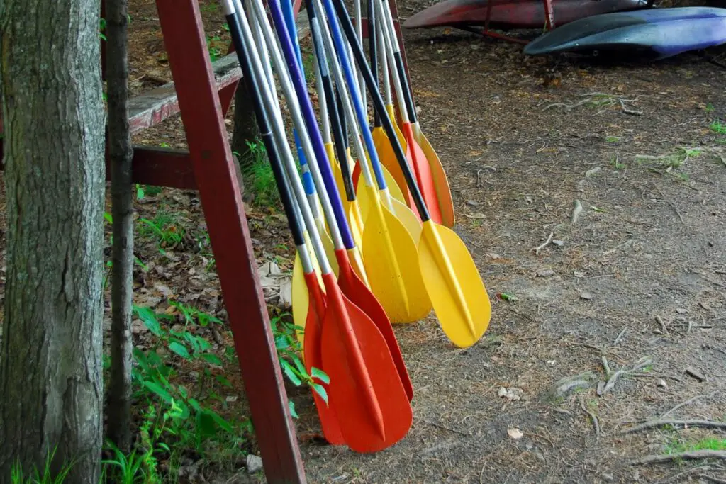 a photo of kayak paddles to show the best kayak paddles under $100